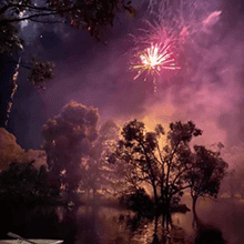 Fireworks display over a night sky with trees in silhouette, vibrant colors and festive celebration atmosphere, 21st Century Business Equipment branding.