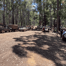 - Image of a forested parking area with trucks and cars parked among trees.