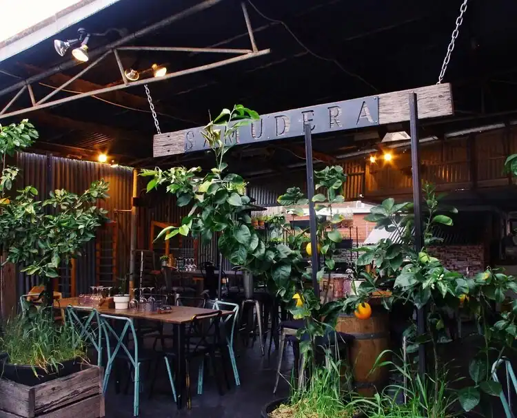 A cozy restaurant adorned with lush green plants and rustic decor, creating a warm and inviting atmosphere.