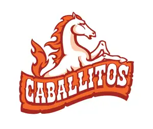 Caballos logo with a white horse and fiery mane, 21st Century Business Equipment branding.