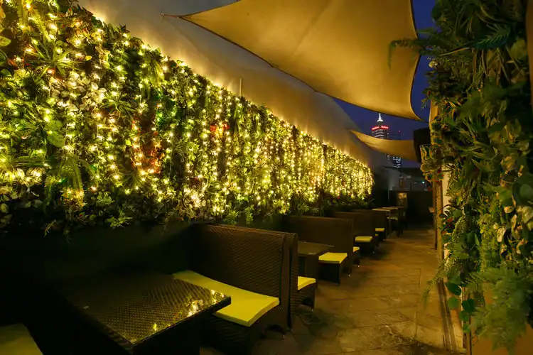 Lush green vertical garden with twinkling fairy lights and outdoor seating area at night.