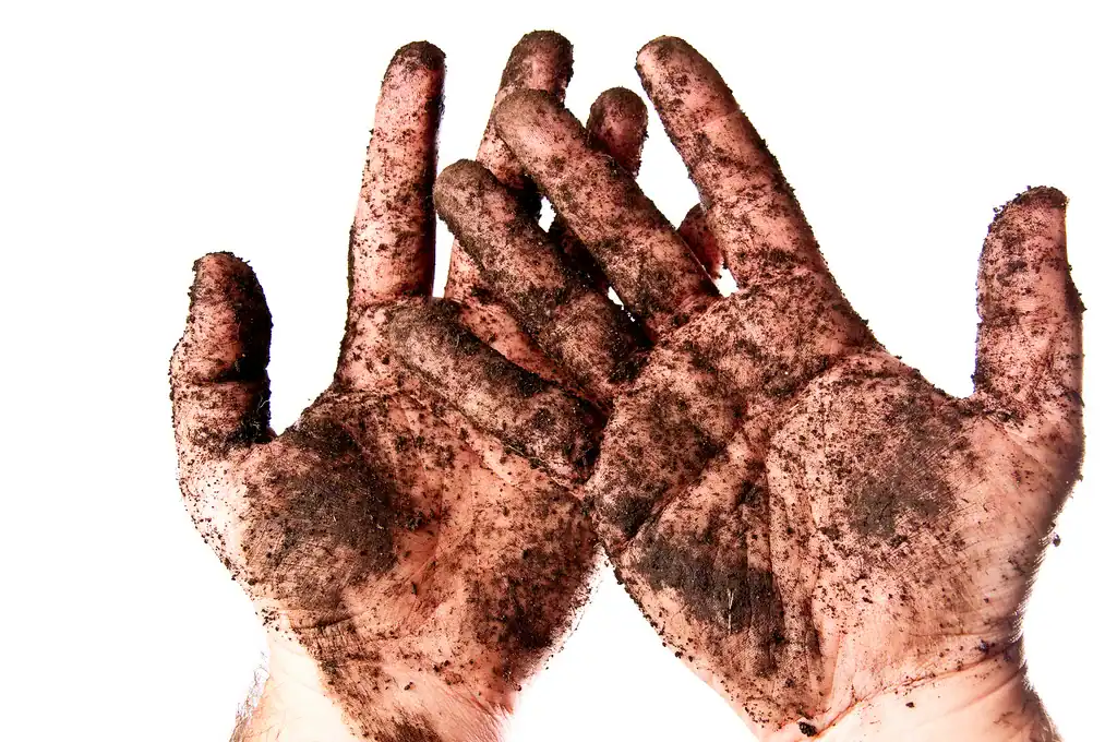 Dirty hands with black soil or ink, cleaning tools, workspace cleanup, or gardening.